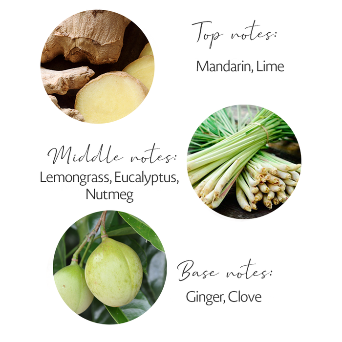 REJUVENATE REED DIFFUSER - Figura 2