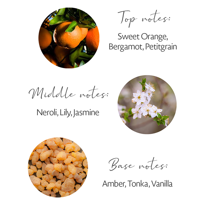 ZEST REED DIFFUSER - Figura 2