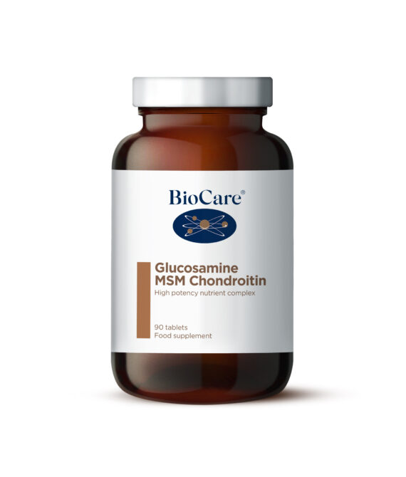 GLUCOSAMINE MSM CONDROITINE
