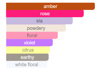 Amber Oud Ahad Parfume Concentrate- 100ml - Figura 3