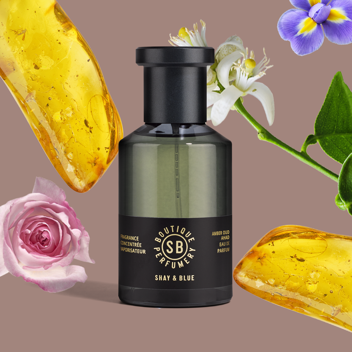 Amber Oud Ahad Parfume Concentrate- 100ml