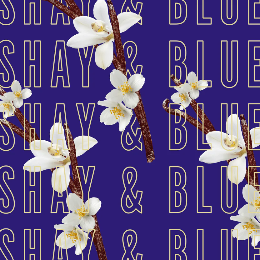 Tonka Angelica Parfume- 100ml - Figura 2