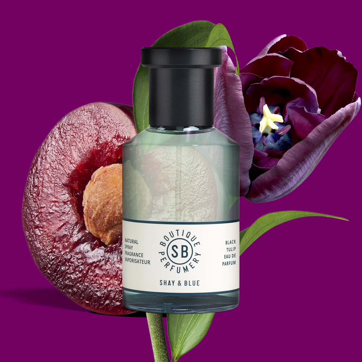 Black Tulip Parfume- 100ml