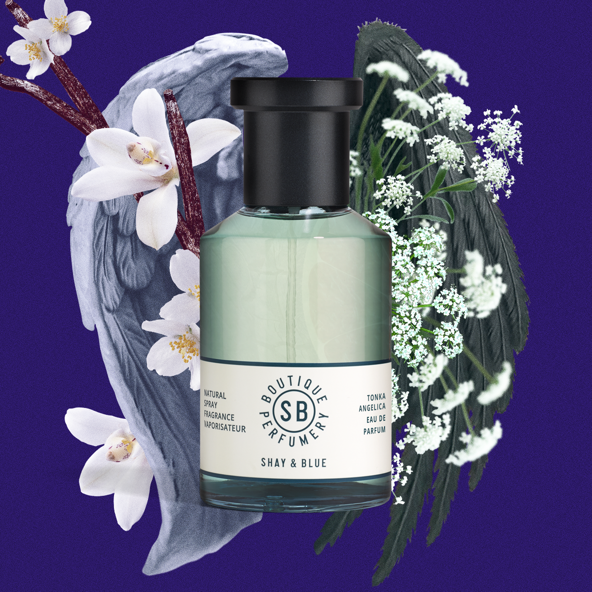 Tonka Angelica Parfume- 100ml