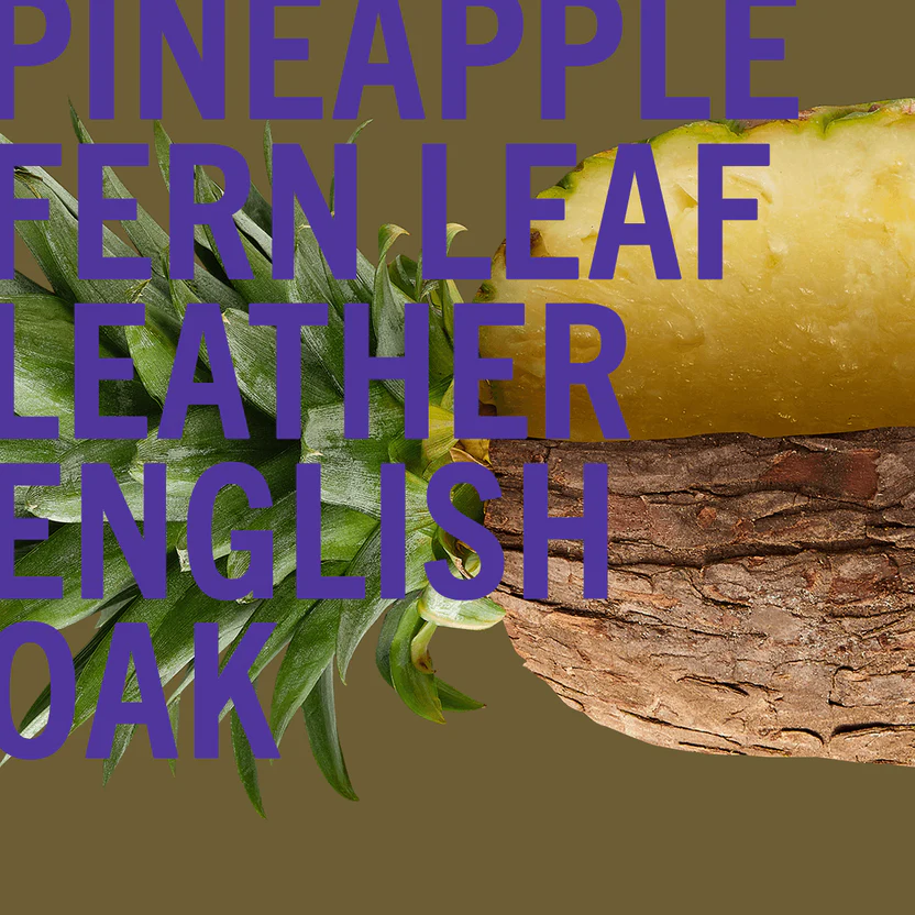 Kings Wood Parfume Concentrate- 100ml - Figura 2