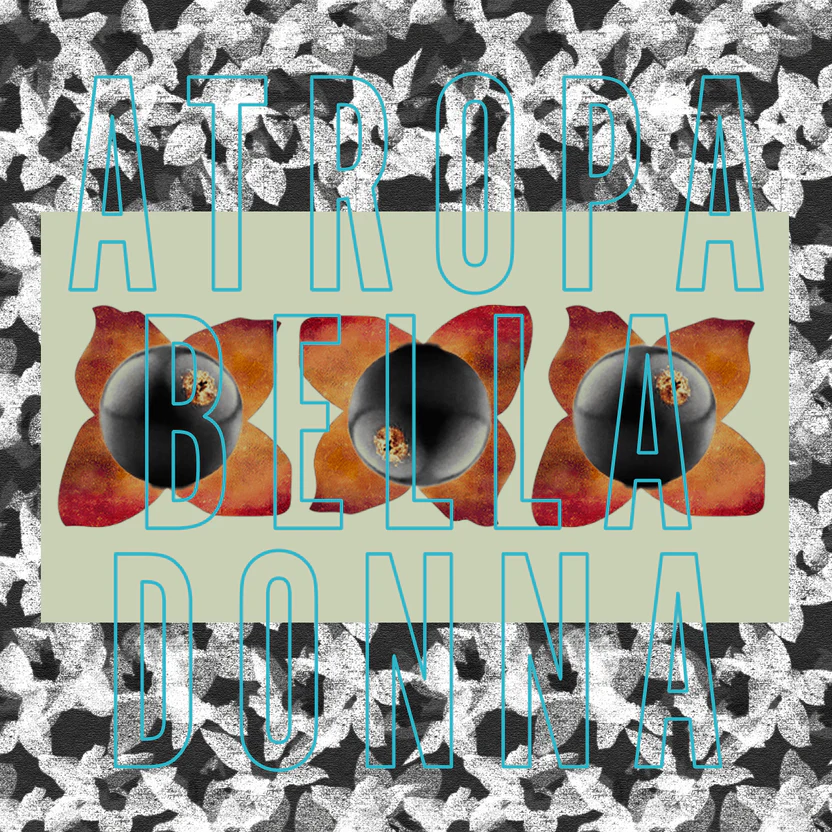 Atropa Belladonna Parfume- 100ml - Figura 2