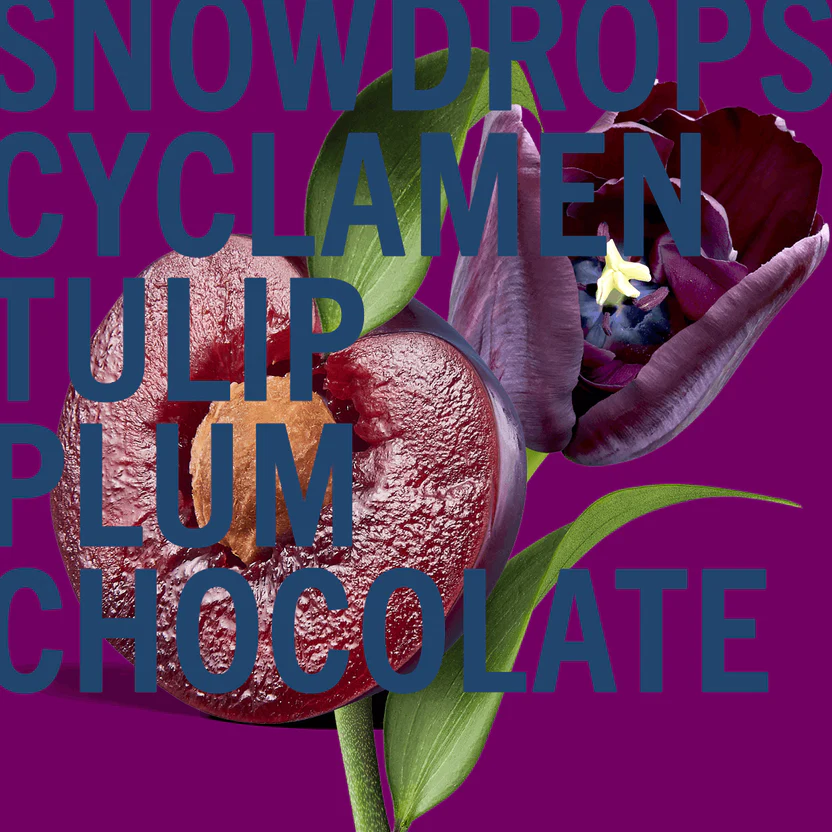 Black Tulip Parfume- 100ml - Figura 2