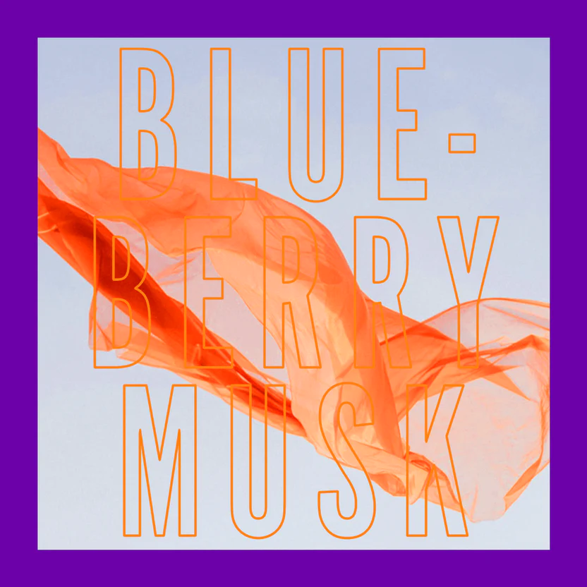 Blueberry Musk Parfume- 100ml - Figura 2