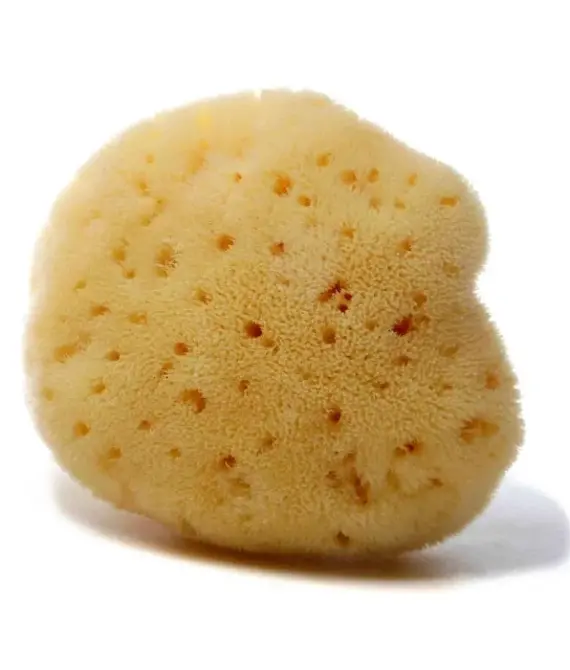 Fine Silk Mediterranean sponge