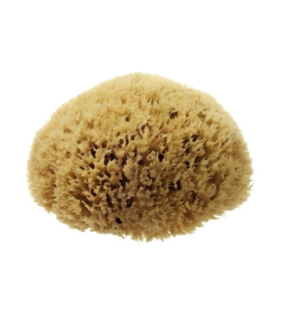 NATURAL HONEYCOMB SEA SPONGE 4-4.5″