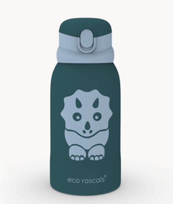 Stainless Steel Dinosaur Water Bottle Teal